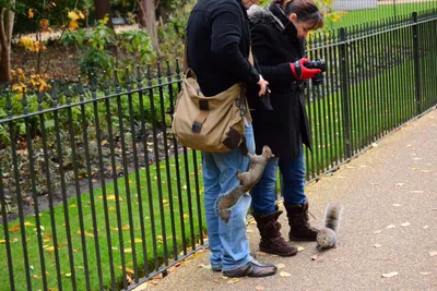 DSC_0606 (Large).JPG